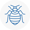 Bed Bug Extermination In Swanscombe