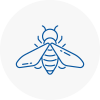 Bee Nest Removal Swanscombe