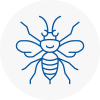 Swanscombe Hornet Nest Removals