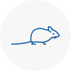 Mice Exterminators In Swanscombe