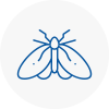 Moth Control Specialists In Swanscombe