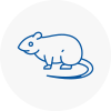 Rat Control Swanscombe