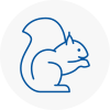 Swanscombe Rodent Removals